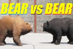 Far Cry 5 Arcade - Animal Fight: Bear vs Bear Battles (Map Editor)