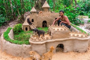 Feed Abandoned Puppies and Build Great Wall around Castle Mud Dog House