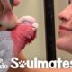 Galah Bird Wants To Be Just Like His Human Mom | The Dodo Soulmates