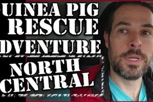 Guinea Pig Rescue Adventure: North Central Animal Shelter