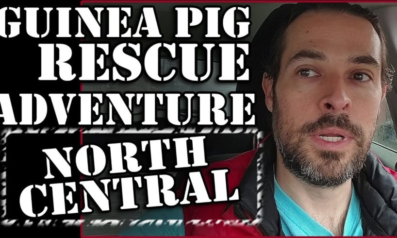 Guinea Pig Rescue Adventure: North Central Animal Shelter