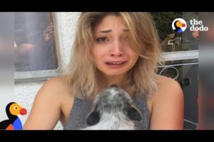 Guy Surprises Girlfriend With Puppy After Her Dog Passes Away | The Dodo
