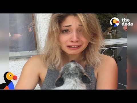 Guy Surprises Girlfriend With Puppy After Her Dog Passes Away | The Dodo