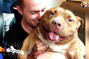 Happy Pit Bull Dog Loves It When His Dad Babies Him | The Dodo Pittie Nation