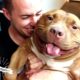 Happy Pit Bull Dog Loves It When His Dad Babies Him | The Dodo Pittie Nation