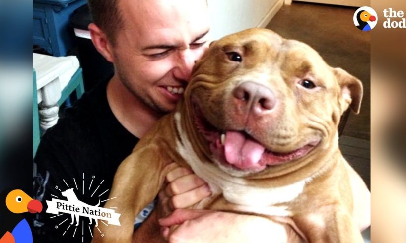 Happy Pit Bull Dog Loves It When His Dad Babies Him | The Dodo Pittie Nation