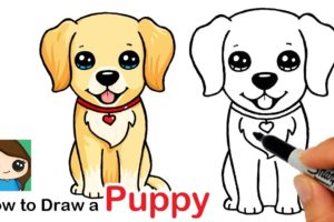 How to Draw a Labrador | Golden Retriever Puppy Easy