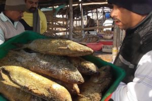 Huge Dry Fish (Shutki Maach) Selling | Digha Mohona West Bengal