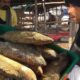 Huge Dry Fish (Shutki Maach) Selling | Digha Mohona West Bengal