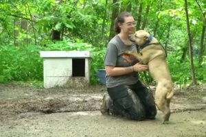 Hundreds of animals rescued from alleged animal fighting case in central Indiana