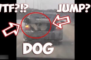 Insane and Crazy Car Crash Compilation | Horrible Driving Fails Of 2019