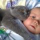 MOST Crazy Cats Annoying Babies, If You Laugh You Lose Challenge, Funny Cats Videos by Animals TV