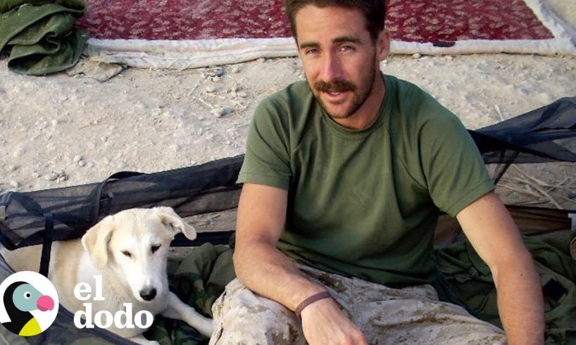 Marino rescata a un perro en Afganistán | El Dodo