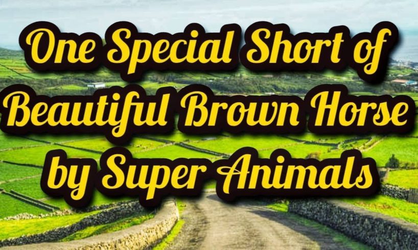 One Special Short of Beautiful Brown Horse by Super Animals
