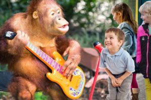 Orangutan at the Zoo Show - Wild Animals make fun at the Zoo - Wild animals Compilation