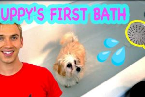 PUPPY'S FIRST BATH!! OTTER AND MILLI SHARER TAKE A BATH ??(Cutest puppy vlog ever)