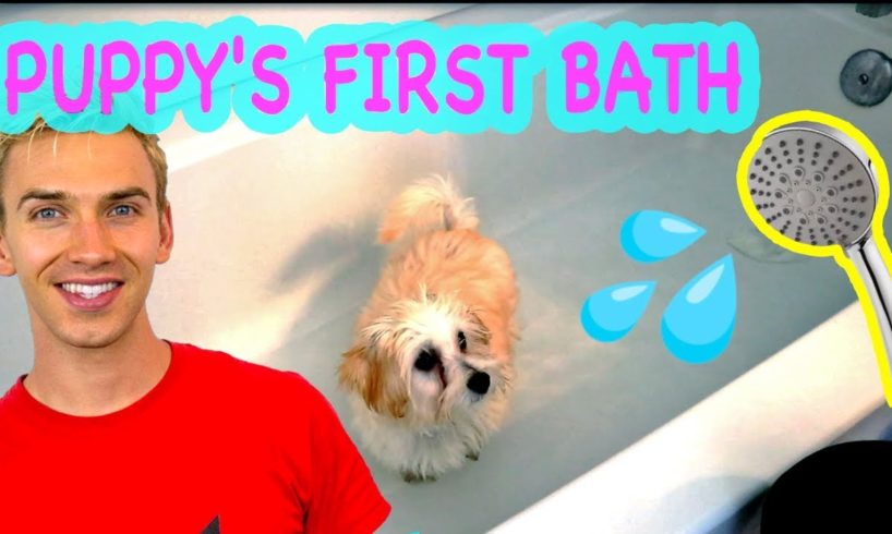 PUPPY'S FIRST BATH!! OTTER AND MILLI SHARER TAKE A BATH ??(Cutest puppy vlog ever)