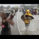 People Helps And Rescue Animals Lives 2017 -  Real Life Heroes - Ultimate Compilation