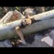 Rescue little dog stuck in Water pipe and food for the puppy