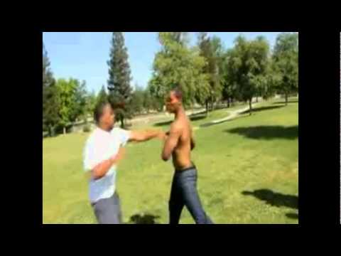 SPOOF: HOW HOOD FIGHTS GO DOWN !