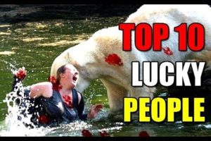 TOP 10 Attacks of Merciless Animals on Lucky People  Were Close To Death,Lion,crocodile.Bear
