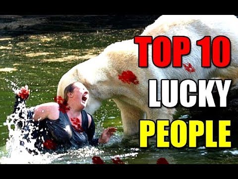 TOP 10 Attacks of Merciless Animals on Lucky People  Were Close To Death,Lion,crocodile.Bear