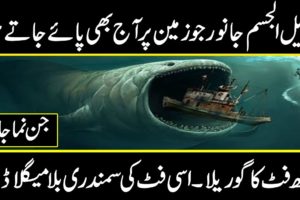 TOP BIGGEST ANIMAL EVER ALIVE ON EARTH IN URDU HINDI || The Discovery documentaries