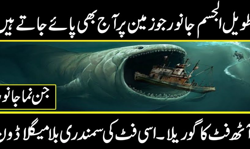 TOP BIGGEST ANIMAL EVER ALIVE ON EARTH IN URDU HINDI || The Discovery documentaries