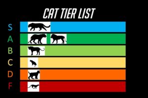 The Cat Tier List