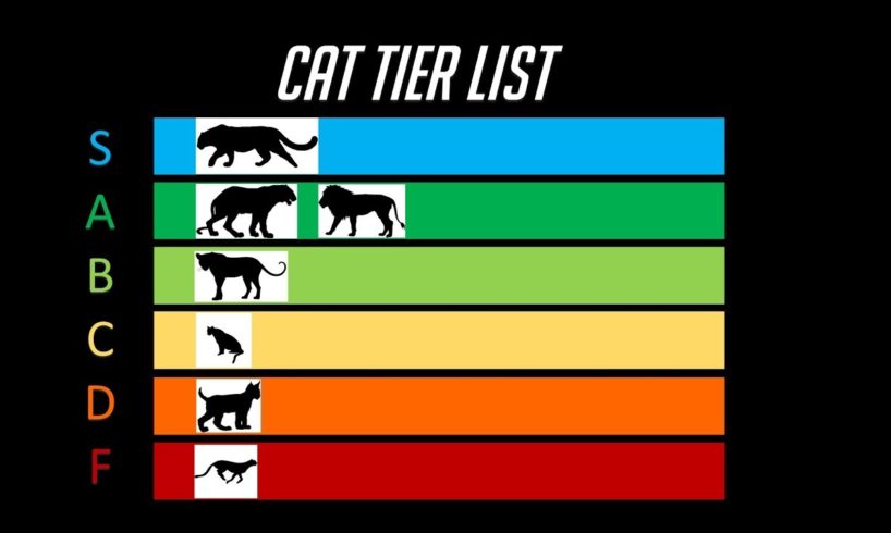 The Cat Tier List