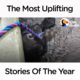 The Most Uplifting Stories Of The Year | The Dodo