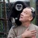 The Orphaned Gibbon Looking For Love | CUTE AS FLUFF