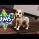 The Sims 3 All In One | Part 39 - CUTEST PUPPIES EVER!