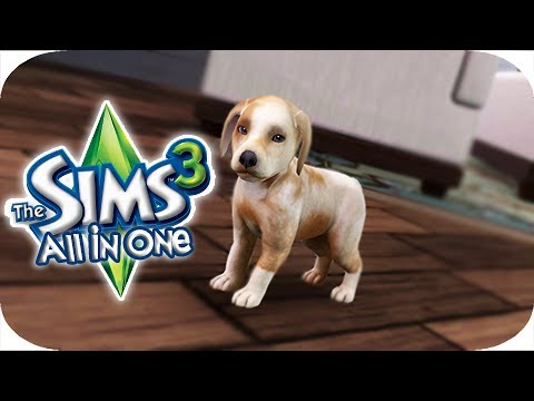 The Sims 3 All In One | Part 39 - CUTEST PUPPIES EVER!