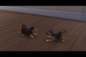 The Sims 4 | Cutest puppies ever