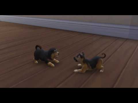 The Sims 4 | Cutest puppies ever