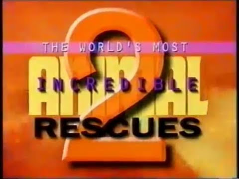 The World's Most Incredible Animal Rescues 2 (1997)