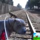 The sheriff had to stop the train so we can save a badly injured PitBull.