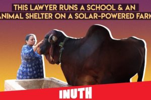 This Lawyer Runs An Animal Shelter On A Solar-Powered Farm