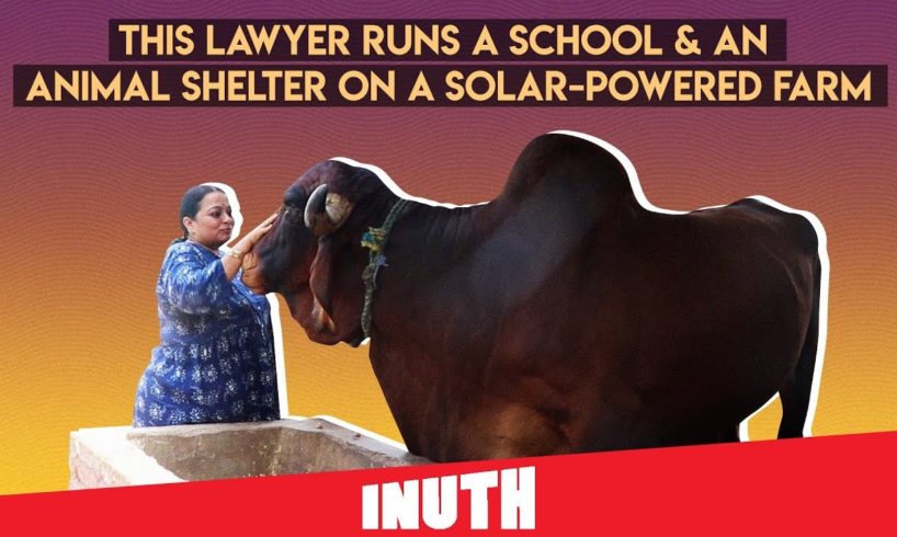 This Lawyer Runs An Animal Shelter On A Solar-Powered Farm