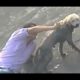Top 2015 Most Inspiring Dog Rescues. If You Liked the Video, Please Share It.