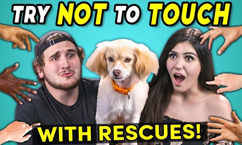 Try Not To Touch Challenge (ft. Rescue Animals! | Best Friends)