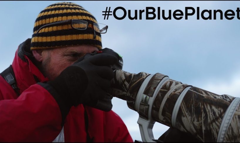 What Does It Take To Be A Blue Planet II Cameraman? #OurBluePlanet | BBC Earth