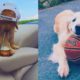 ♥Cutest Dogs Doing Funny Things 2019♥ #2 Cute Puppies
