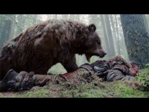 사실상 동물싸움 1위 그리즐리 베어!! Literally, #No 1 Animal Fight Grizzly Bear