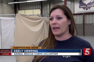 150 Animals Rescued From Atwood Property