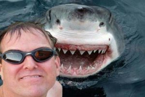 25 Most Dangerous Selfies Ever!