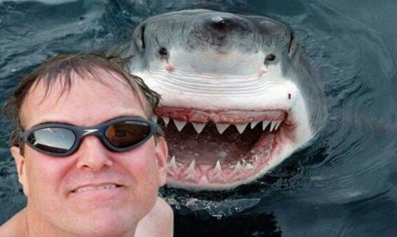 25 Most Dangerous Selfies Ever!