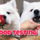 ASMR Dog Reviewing Different Types of Food #2 I MAYASMR