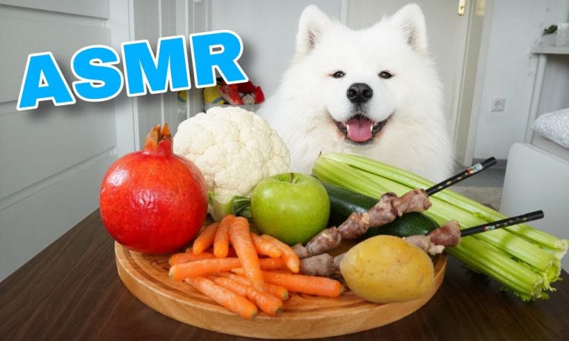 ASMR Dog Reviewing Different Types of Food #4 I MAYASMR